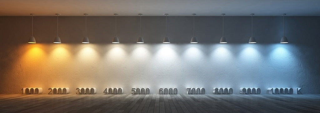 Light Bulb Colour Temperature Buying Guide