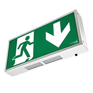 Robus 4W Exit Box LifePo4 C/W Down  Legend - R8EMLP4D-01