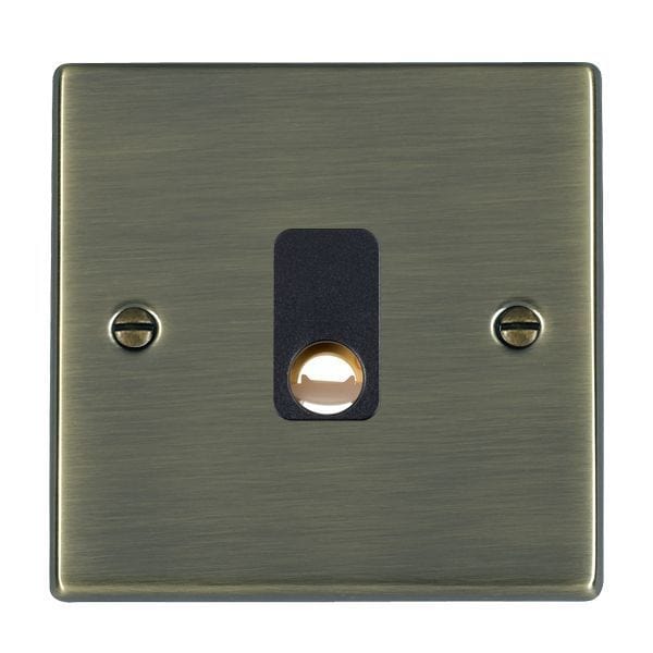 Hamilton Hartland 20A 1 Gang Flex Outlet - Antique Brass with Black Inserts  - 79COB, Image 1 of 1