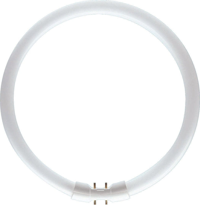 Philips 22w T5 Circular Tube Cool White - 64221925, Image 1 of 1