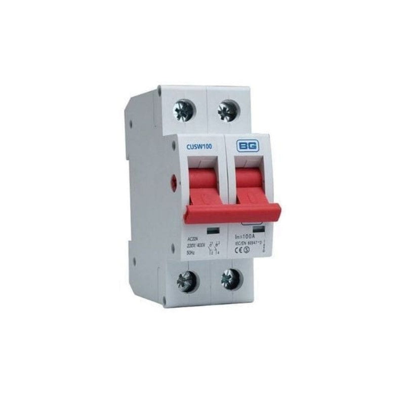 BG Double Pole 100A Main Switch - CUSW100, Image 1 of 1